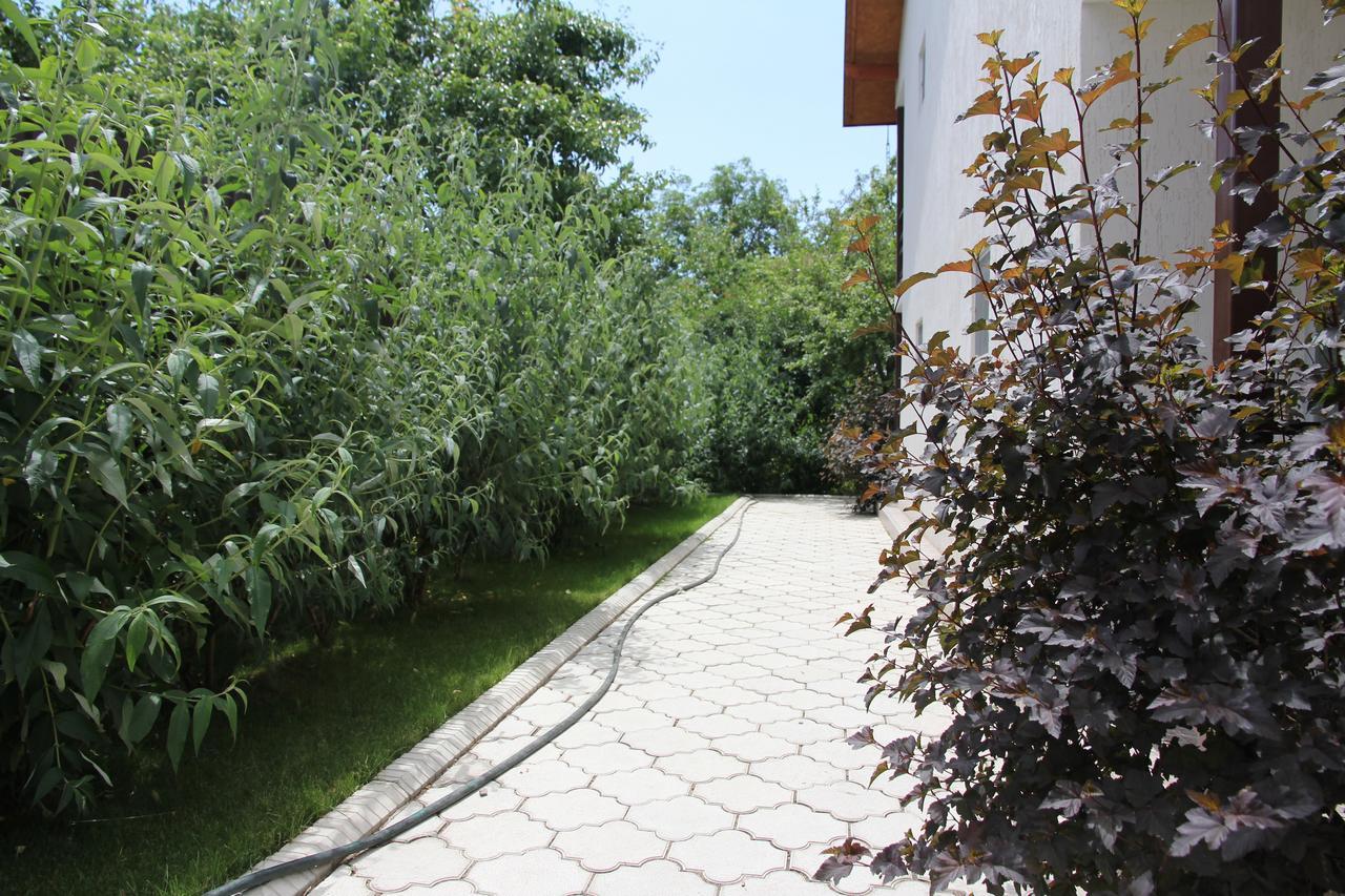 Guest House Leto Долинка Экстерьер фото