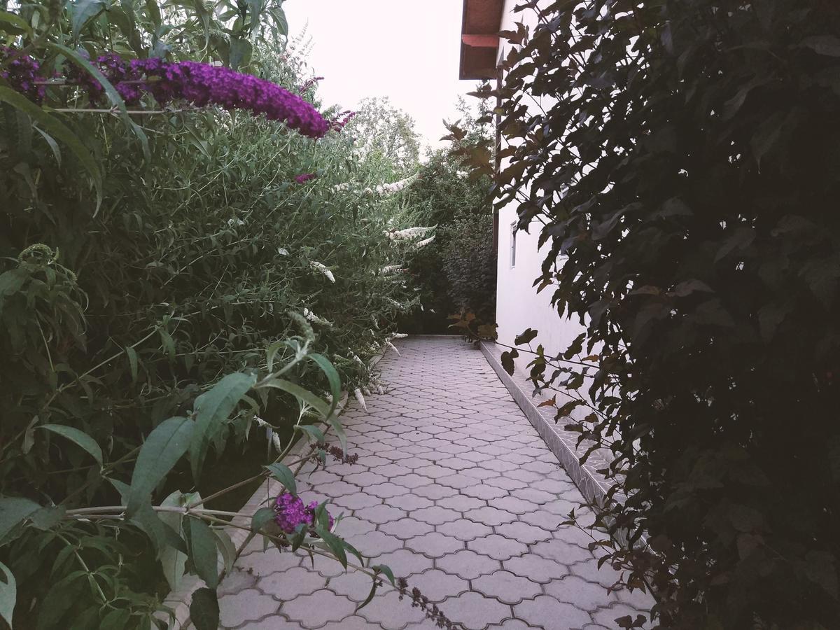 Guest House Leto Долинка Экстерьер фото